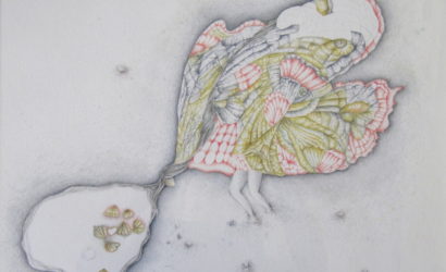 Carol Riu, Re dessiner le monde