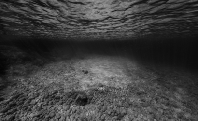 Le monde sous-marin magnifié par la photographie en noir et blanc
