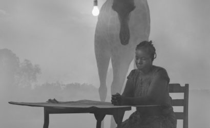 La crise écologique sous l&rsquo;appareil de Nick Brandt