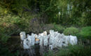 Festival international de jardins aux Hortillonnages d’Amiens