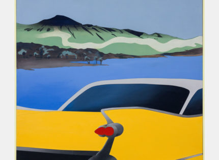 Antony Donaldson – Le voyage d’un peintre à la Galerie Strouk