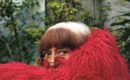 Cartographie d’une Œuvre : Le Paris d’Agnès Varda au Musée Carnavalet