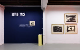 Lithographies Lynchiennes
