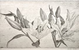 Charles Donker | Gravures récentes
