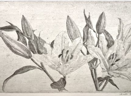 Charles Donker | Gravures récentes