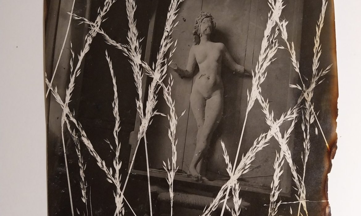 Pierre Jahan. Photogrammes et Rayogrammes : 1940 – 1950 à la Galerie Jean-François Cazeau