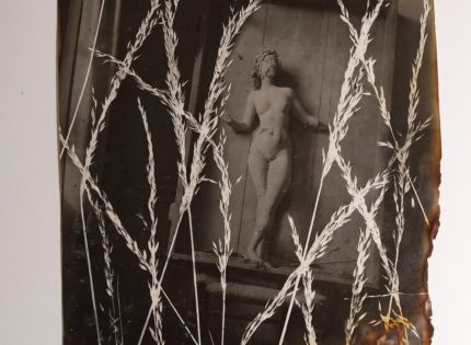 Pierre Jahan. Photogrammes et Rayogrammes : 1940 – 1950 à la Galerie Jean-François Cazeau