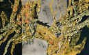 Ruten- Hommage au peintre Takehiko Sugawara à la Galerie Taménaga
