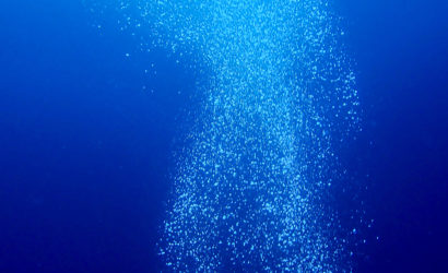 Le trésor d’Icare – exposition collective à la Galerie Icare  