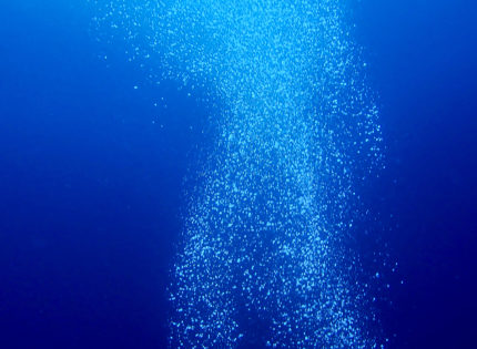 Le trésor d’Icare – exposition collective à la Galerie Icare  