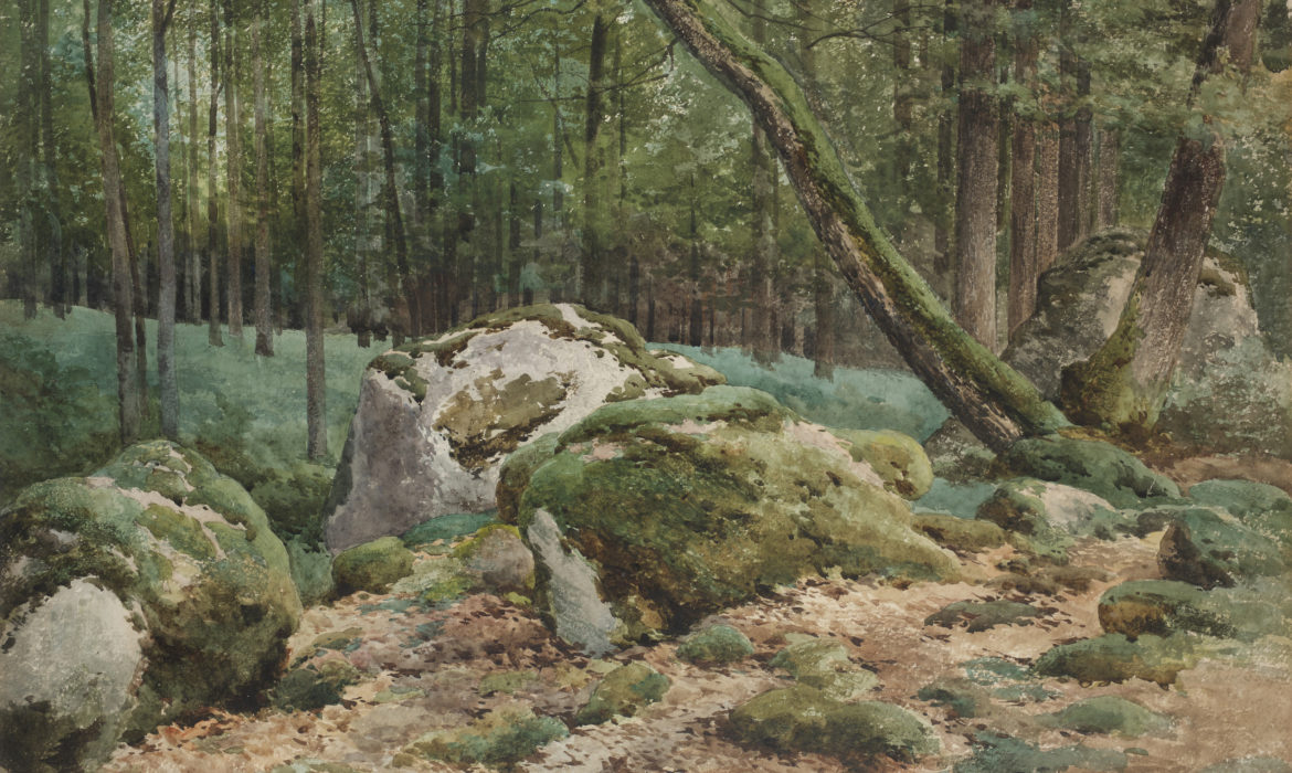 La nature révélée. Les dessins d’Auguste Allongé (1833-1898)