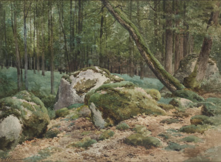 La nature révélée. Les dessins d’Auguste Allongé (1833-1898)