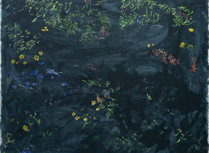 Afterscape : le paysage qui demeure 