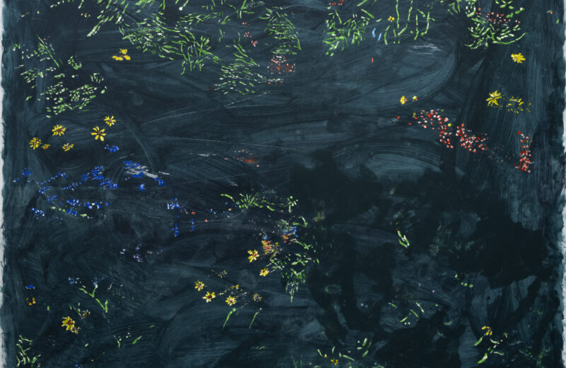 Afterscape : le paysage qui demeure