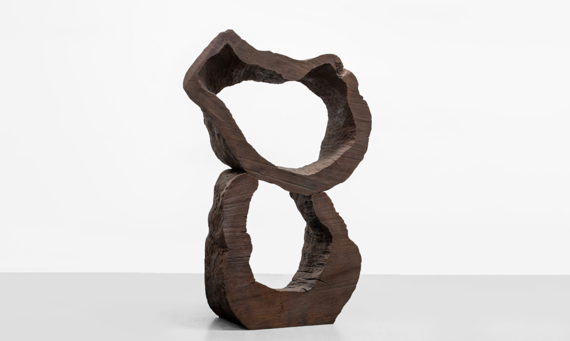 Catching Forms, David Nash – Galerie Lelong