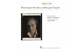 Robert Storr, Penser par les sens, sentir par l&rsquo;esprit