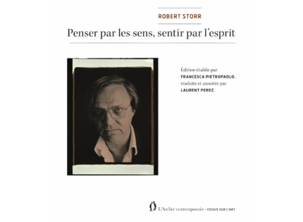 Robert Storr, Penser par les sens, sentir par l&rsquo;esprit